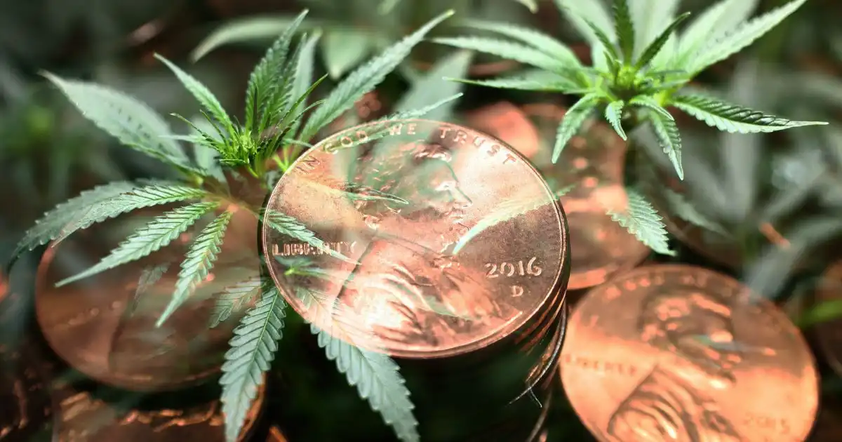 ASX Cannabis Stocks 2023: Optimal Investments for the Year Ahead