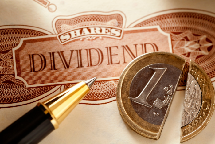 Two ASX Dividend Stocks for Long Term Stability