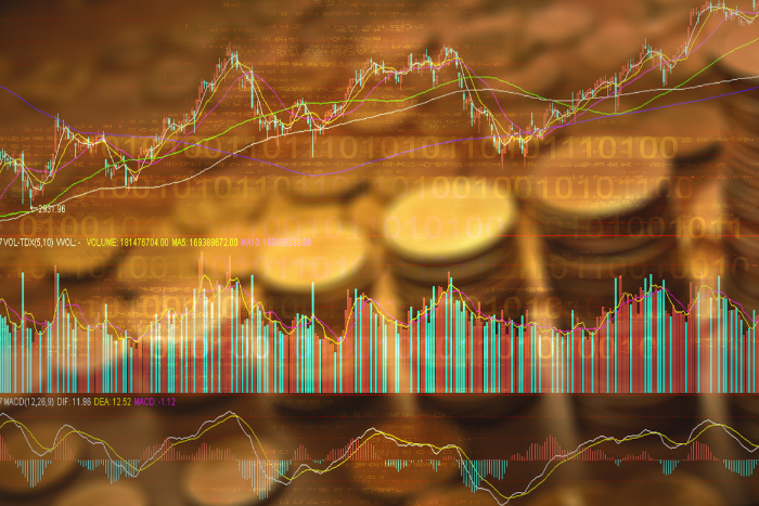 ASX 200 Stocks Deriving Best Advantage of the Gold Run