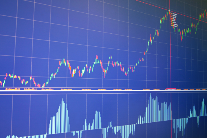 ASX 200 Outperformers of 2024 you Wish had Invested in