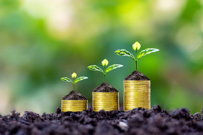 Small Cap ASX Stocks with High Growth Potential