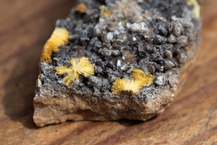 Top ASX Uranium Stocks to Watch Now