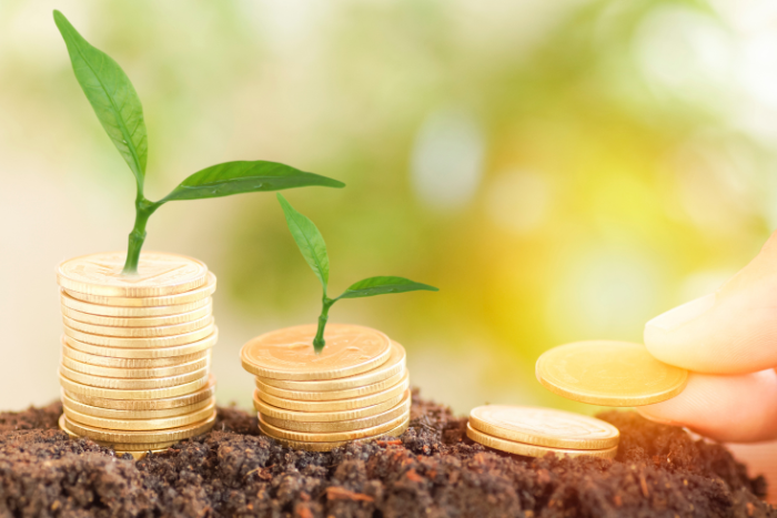 Top ASX 200 Stocks with Long Term Growth Potential