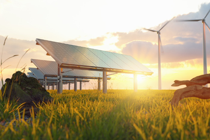 Top Renewable Energy Stocks on the ASX in 2025