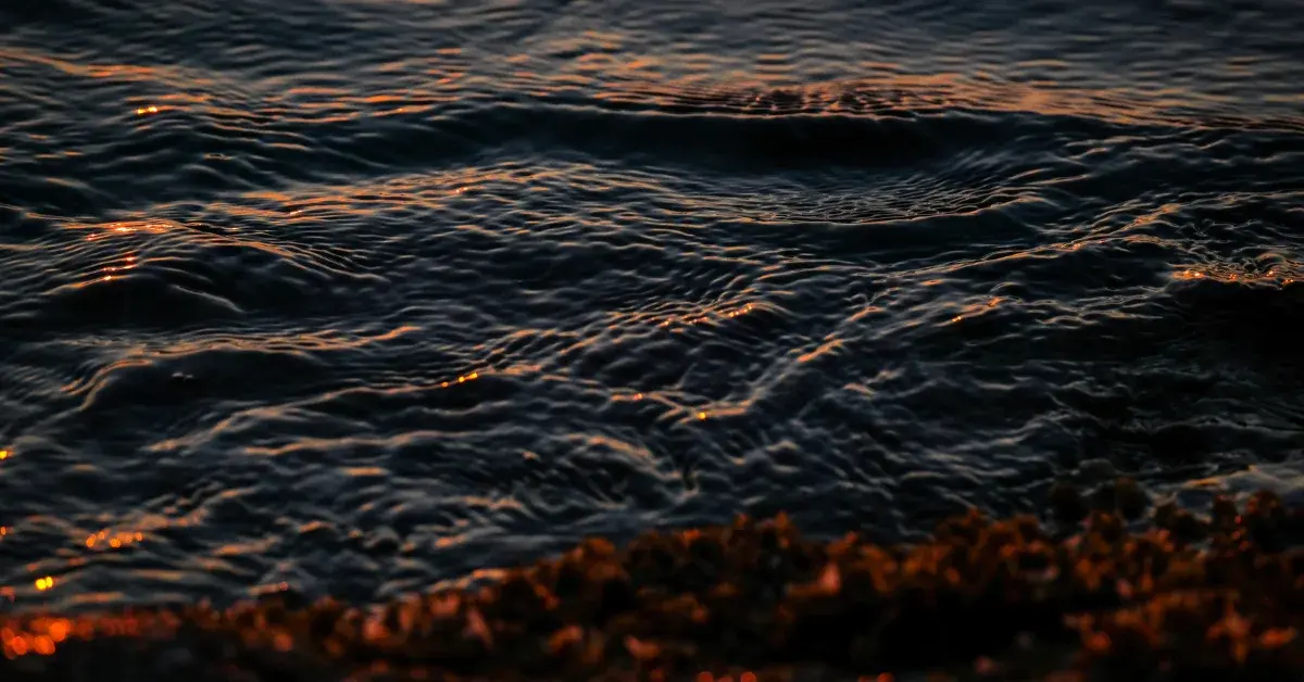 Can SVB shockwaves cause ripple effect to other shores?
