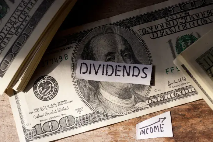 Best ASX dividend stocks, I would invest in with $5000