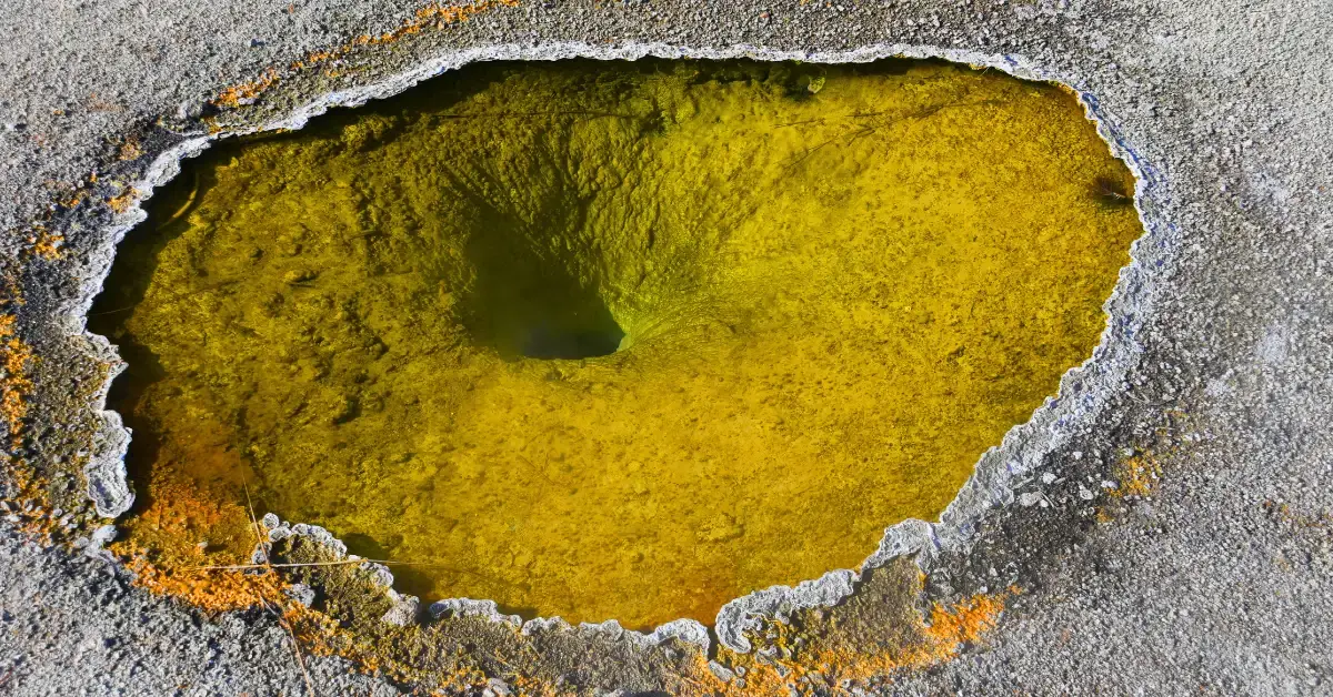 Is Uranium assuming greater importance for a green future?
