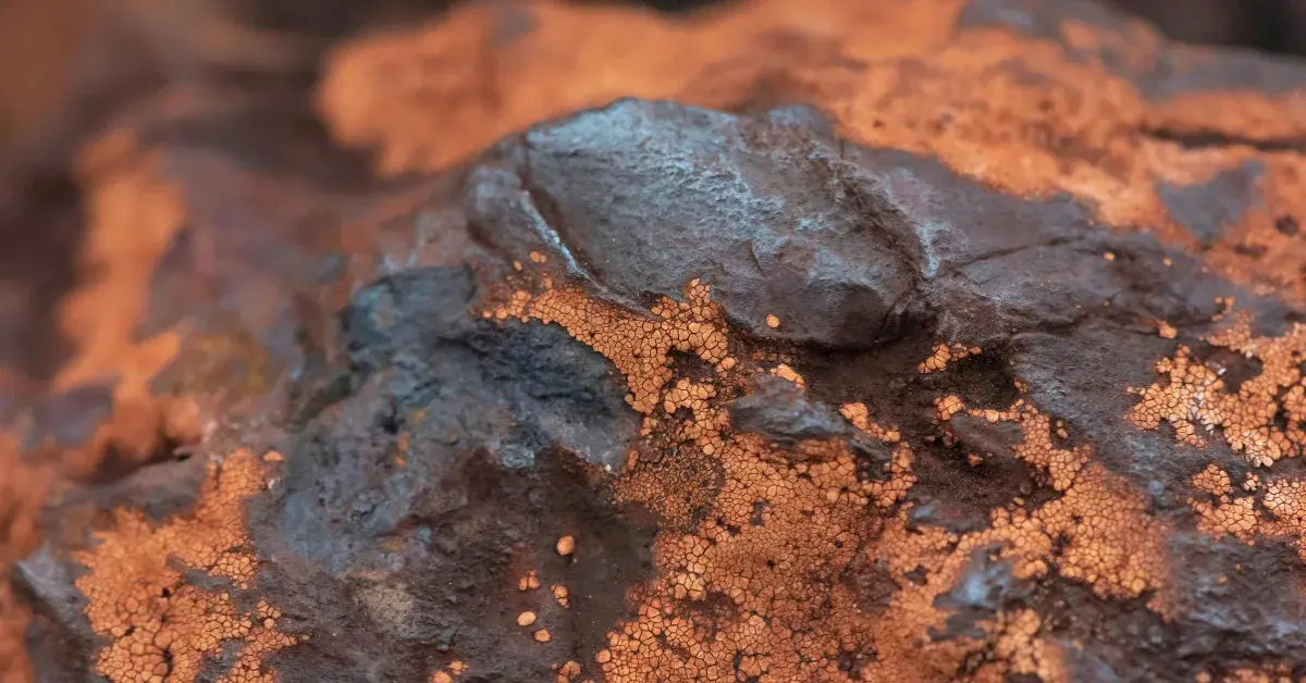ASX Iron Ore Stocks: Investing in 2023 Market Trends