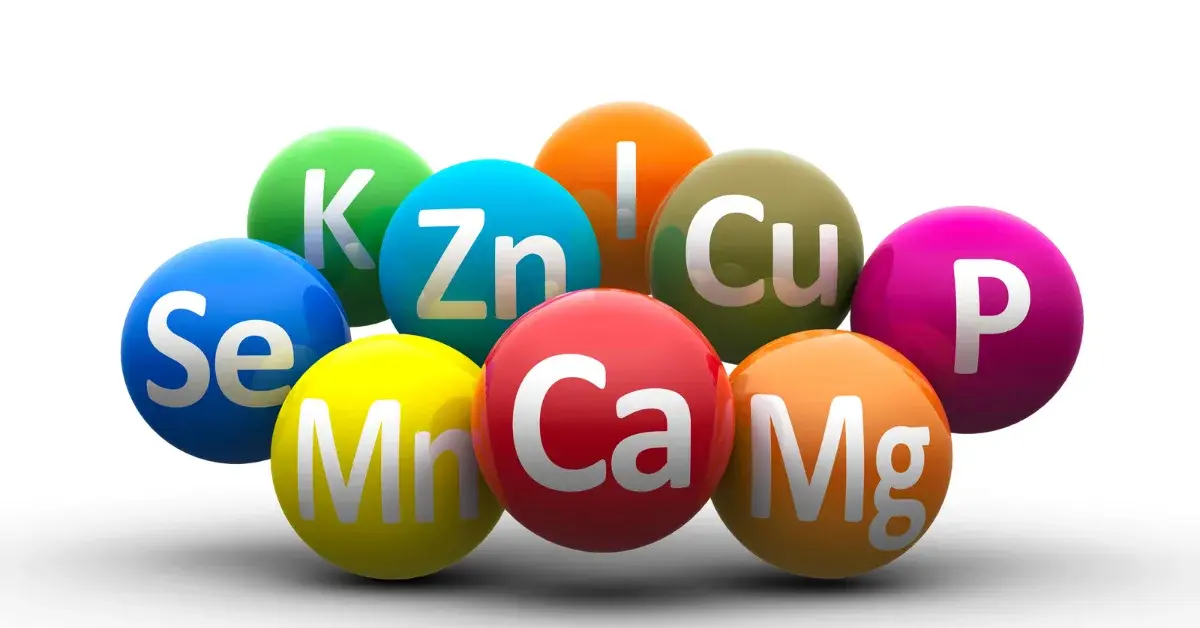 3 ASX upcoming Dividend stocks