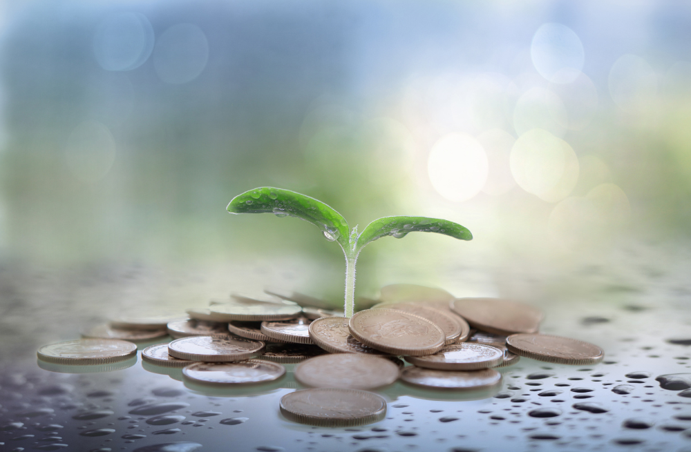 Core Lithium Limited, commencing operations