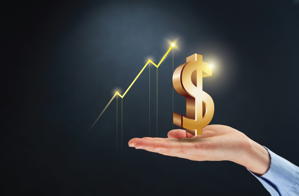 Australia United Investment Company Limited, emerging opportunities