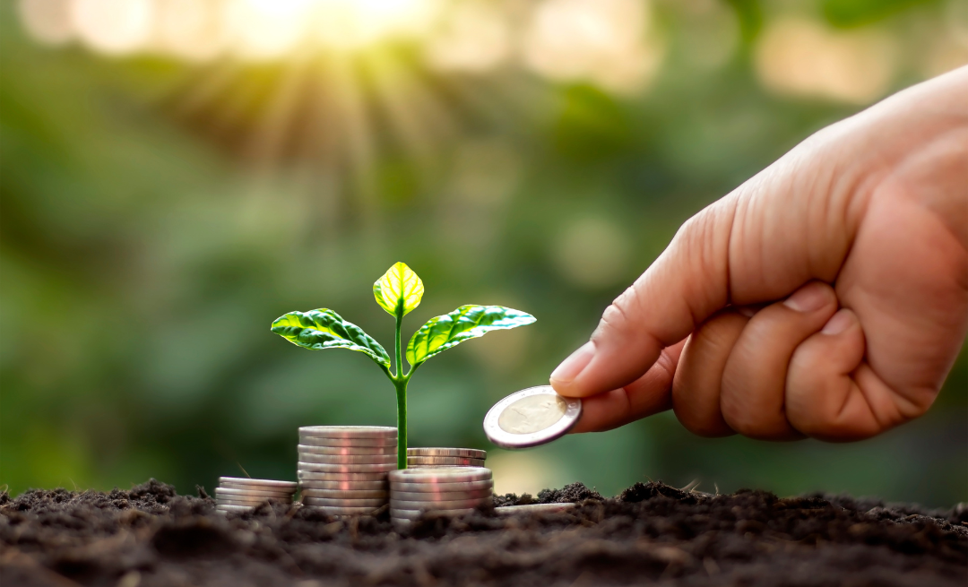 Tietto Minerals Limited, focus on commissioning processing plant