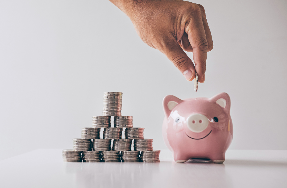 Bendigo and Adelaide Bank Limited, disciplined execution