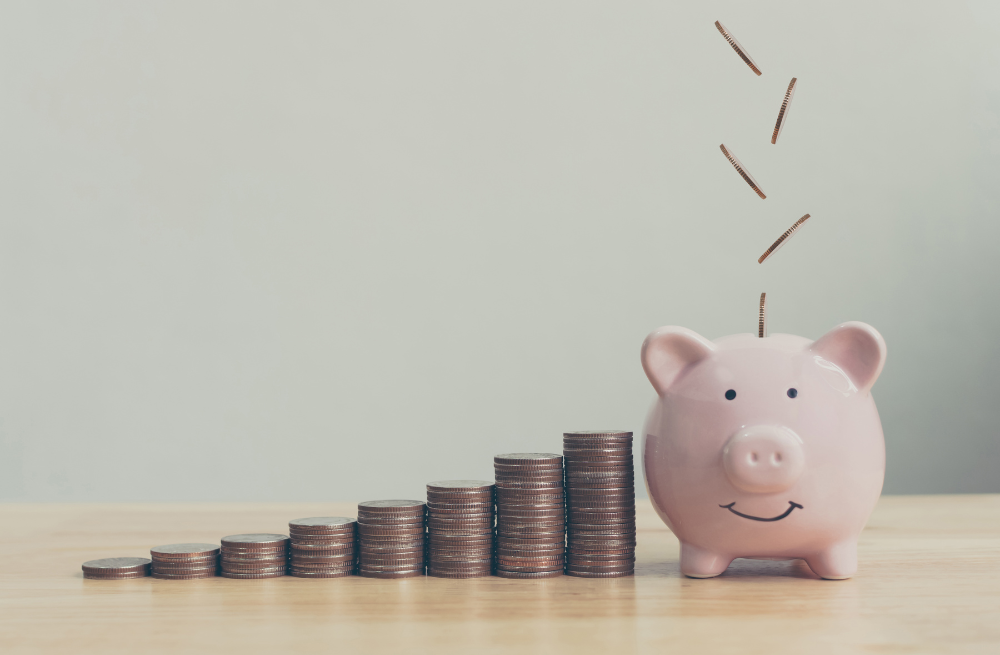 Temple & Webster Group Limited, returning to growth
