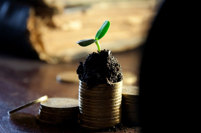 Althea Group Holdings Limited, continues to see strong growth