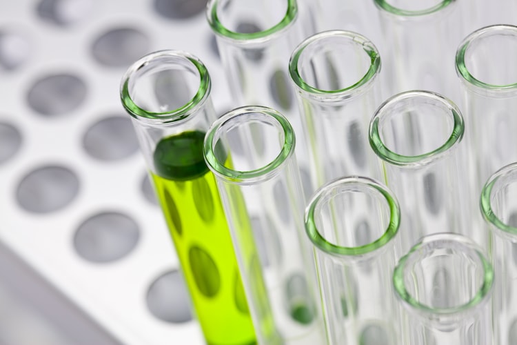 Does Orthocell have significant global commercial potential?