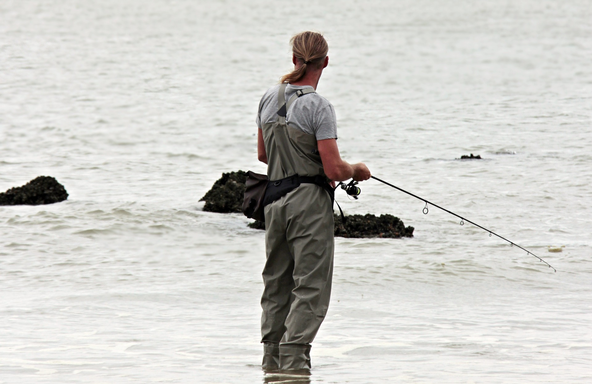 Is it time to book your profits on Murray Cod Australia?
