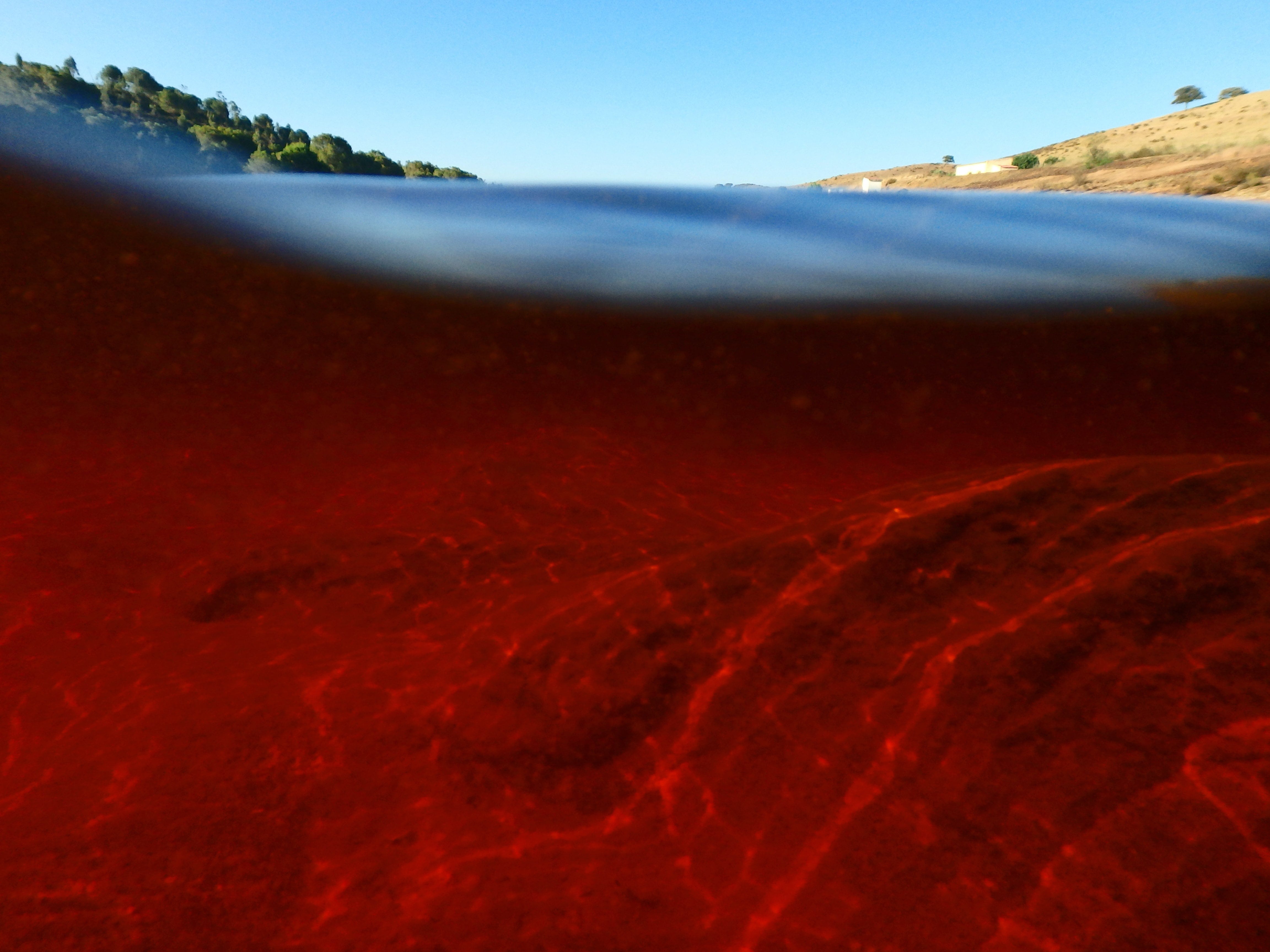 Lefroy Exploration Limited, outstanding high-grade mineralisation intersected