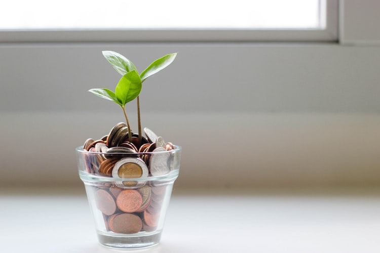 Can Bubs Australia Limited build on its growth momentum?