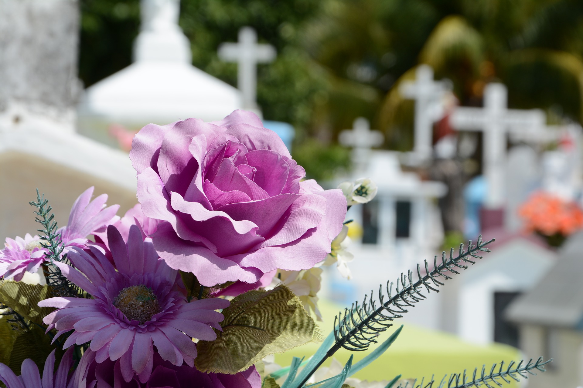 Will the recent acquisitions trigger stability and growth for Propel Funerals?