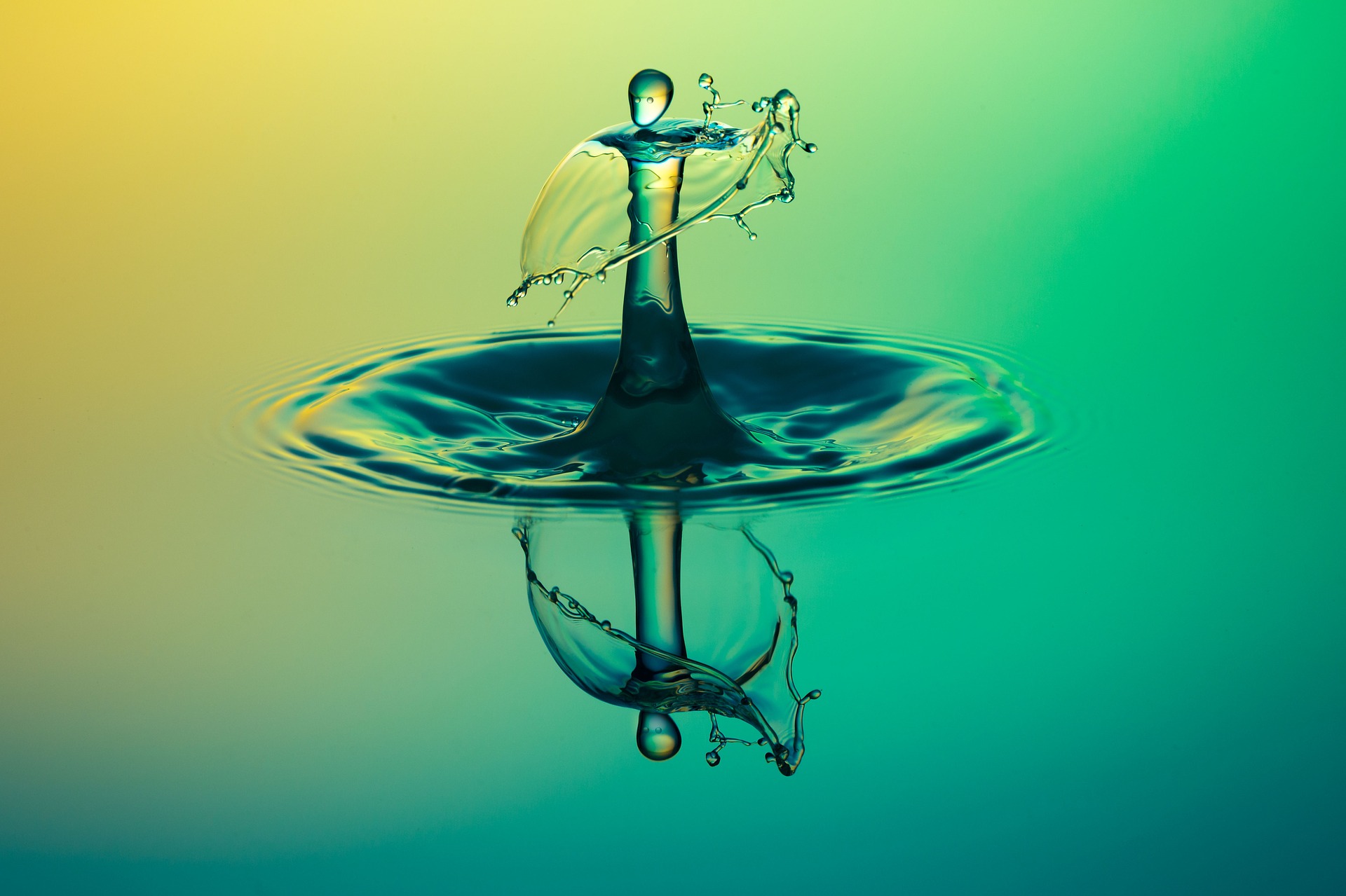 Will Duxton water continue to do well with chance of an El Nino event establishing before the end of the year?