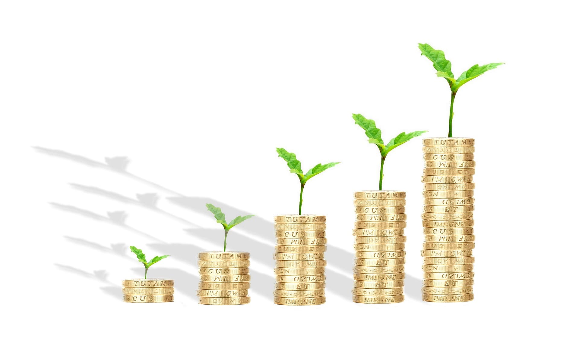 Monash IVF Group Limited, behavioural shifts supporting volume growth