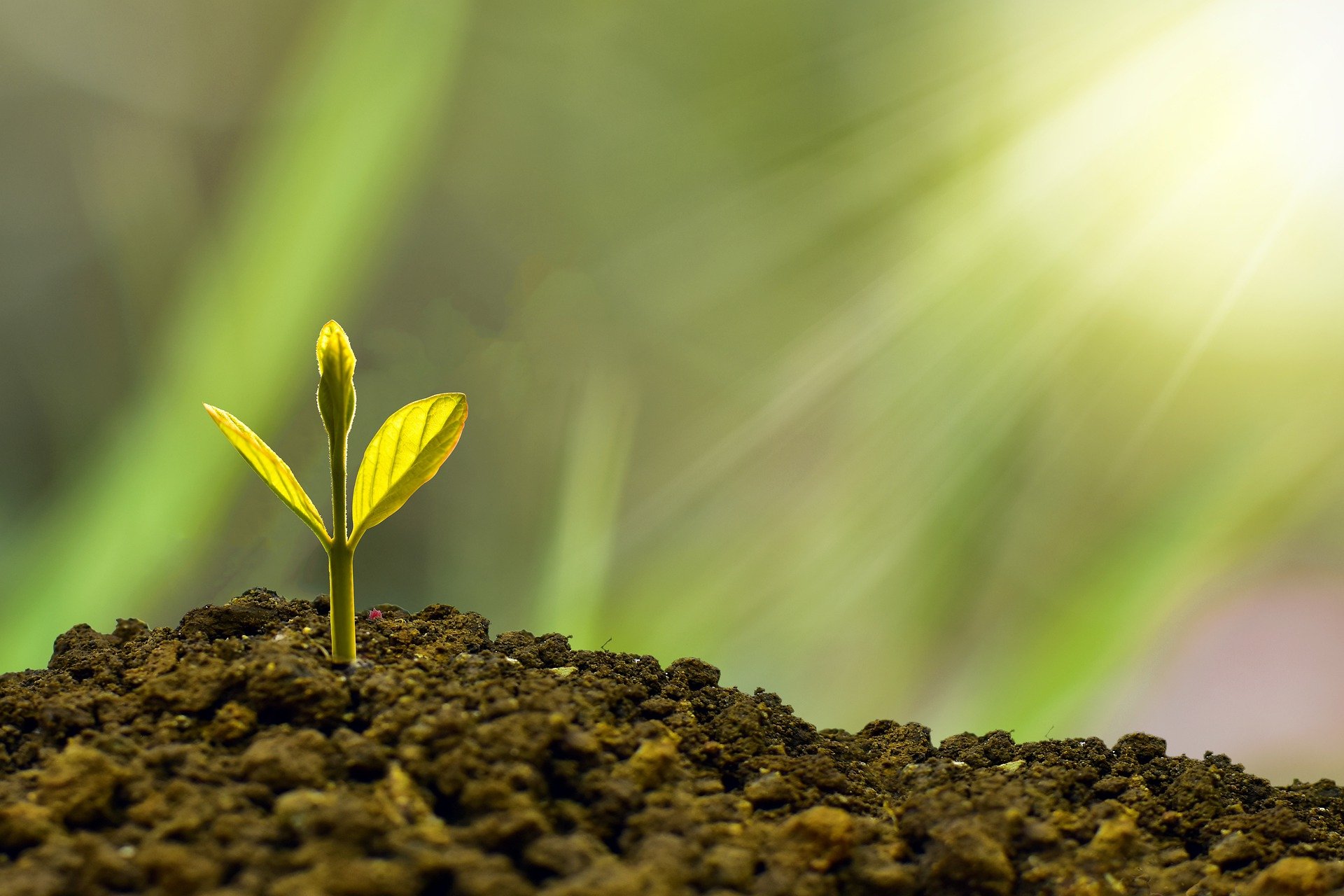 Symbio Holdings Limited, well placed to fund strategic initiatives