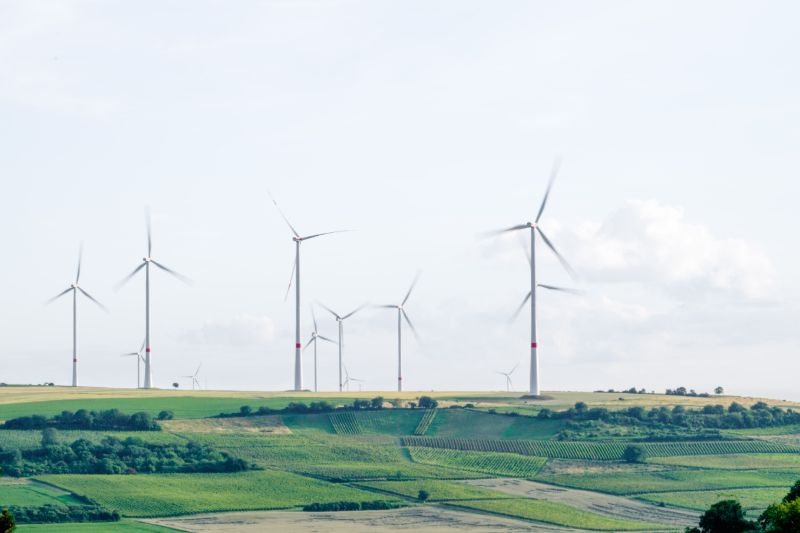 Energy One Limited, business with global capability