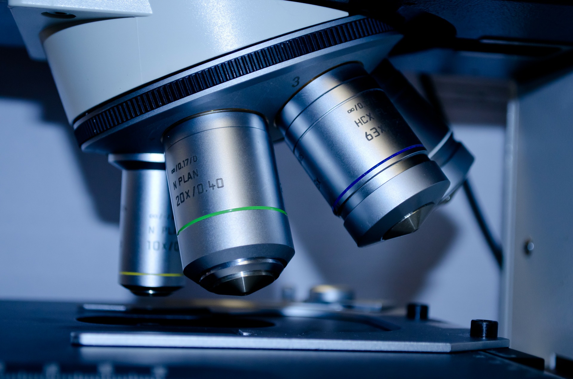 What made Impedimed Ltd recover its lost ground in one shot?