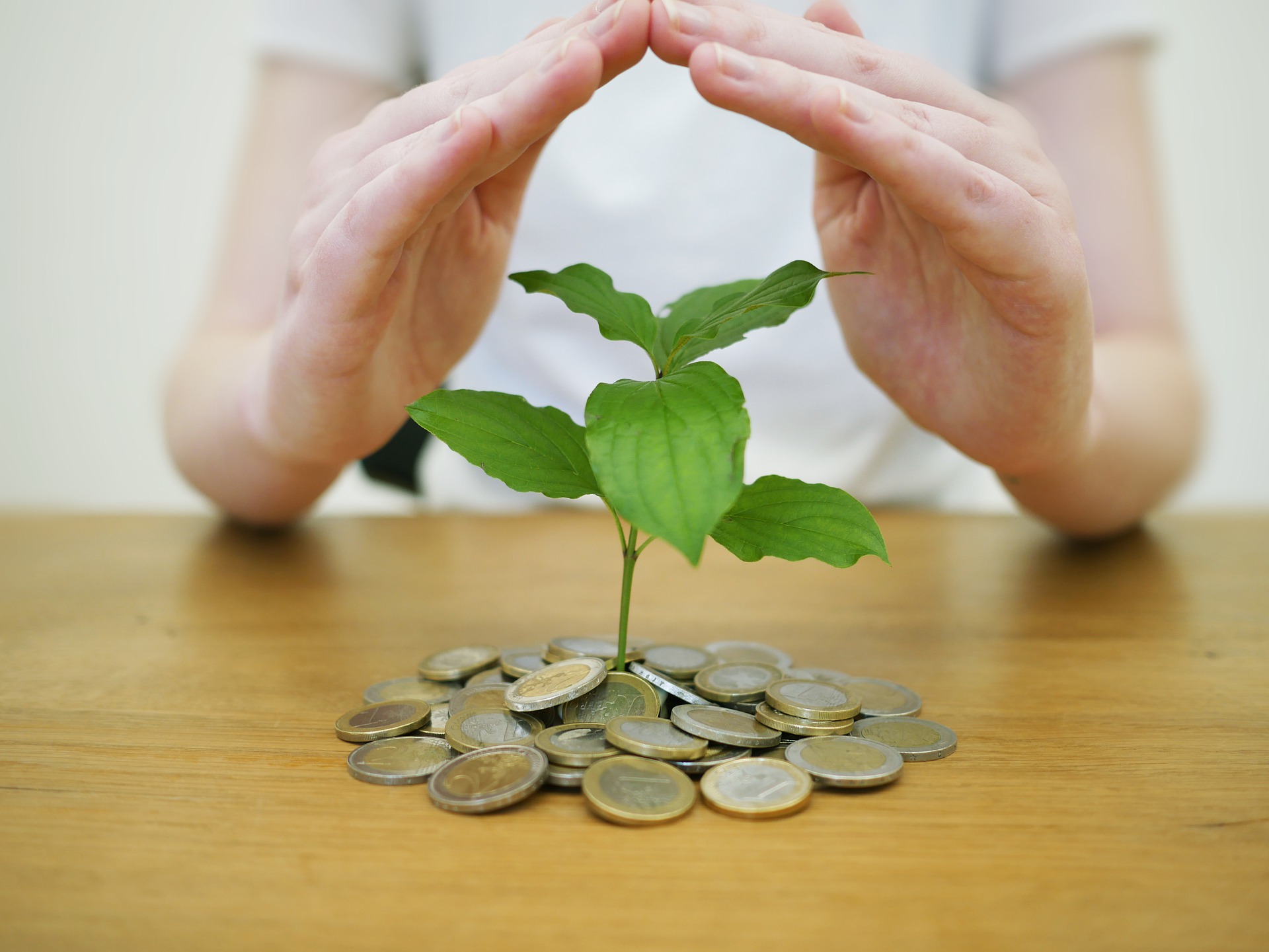 Can Select Harvests Limited ensure its underlying organic earnings growth?