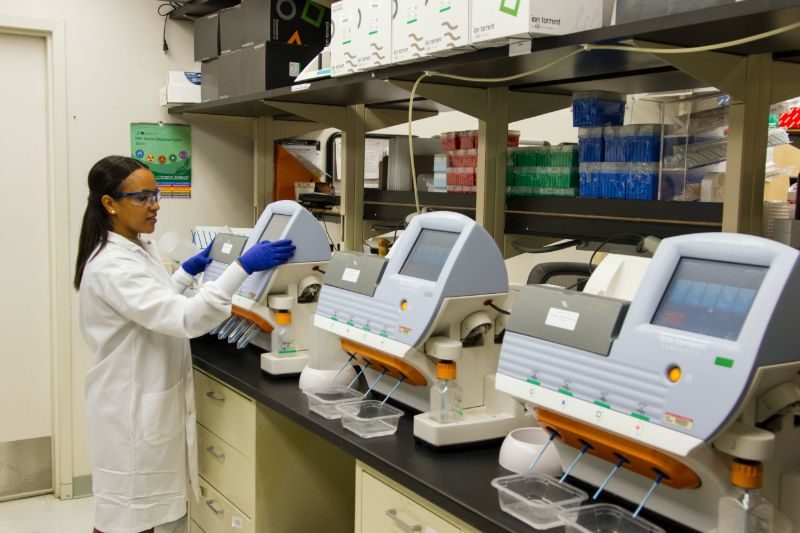 EMVision Medical Devices Limited, progressing on its commercialisation path