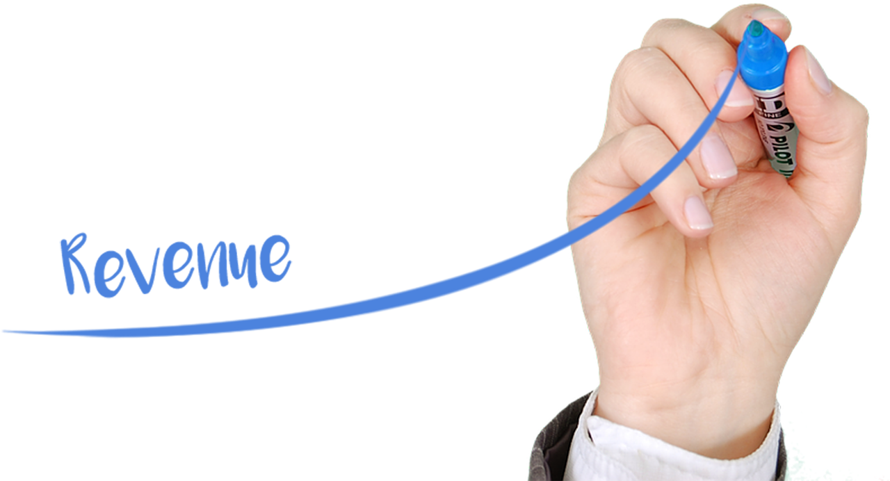 Will Serko Limited maintain its growth?