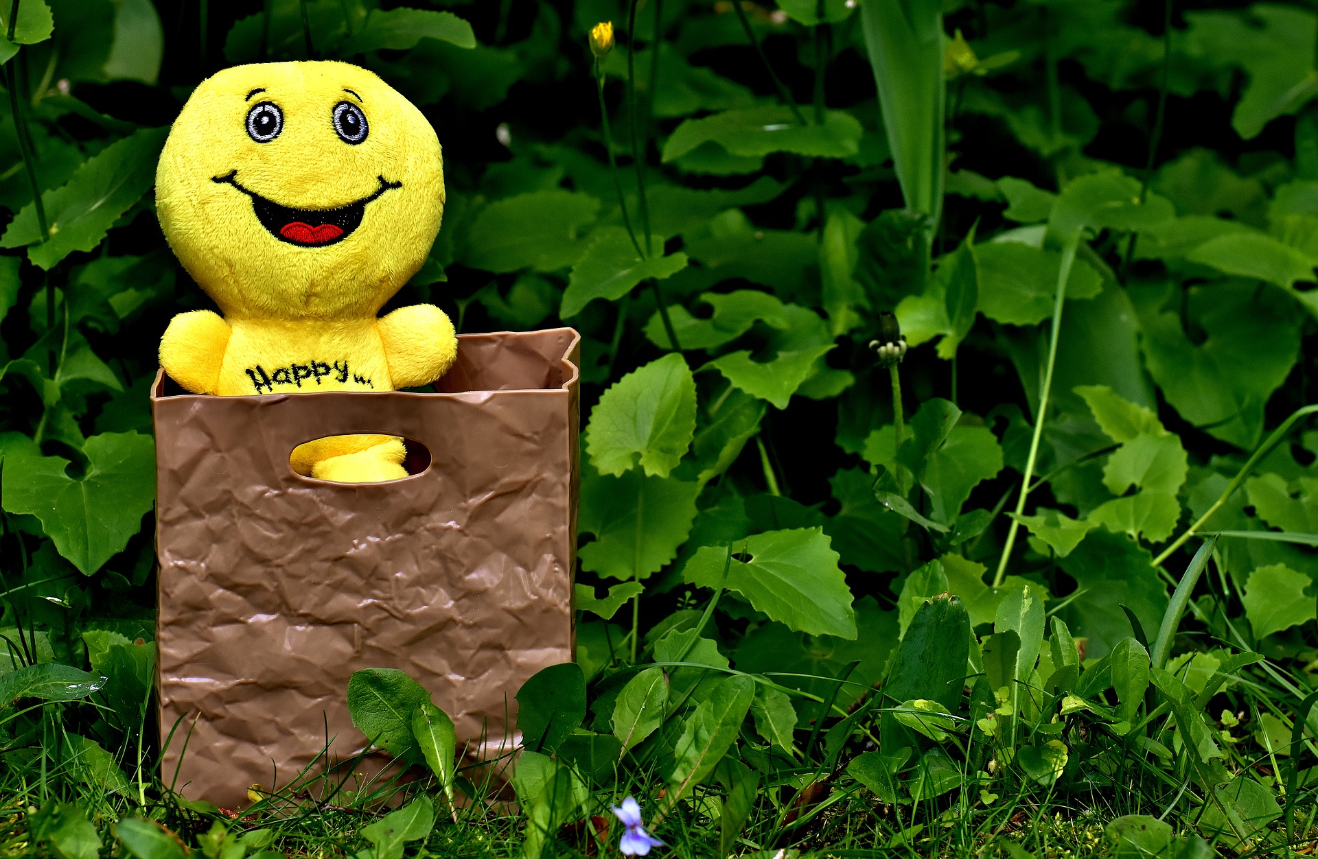 Is Amcor Ltd available at a bargain price?