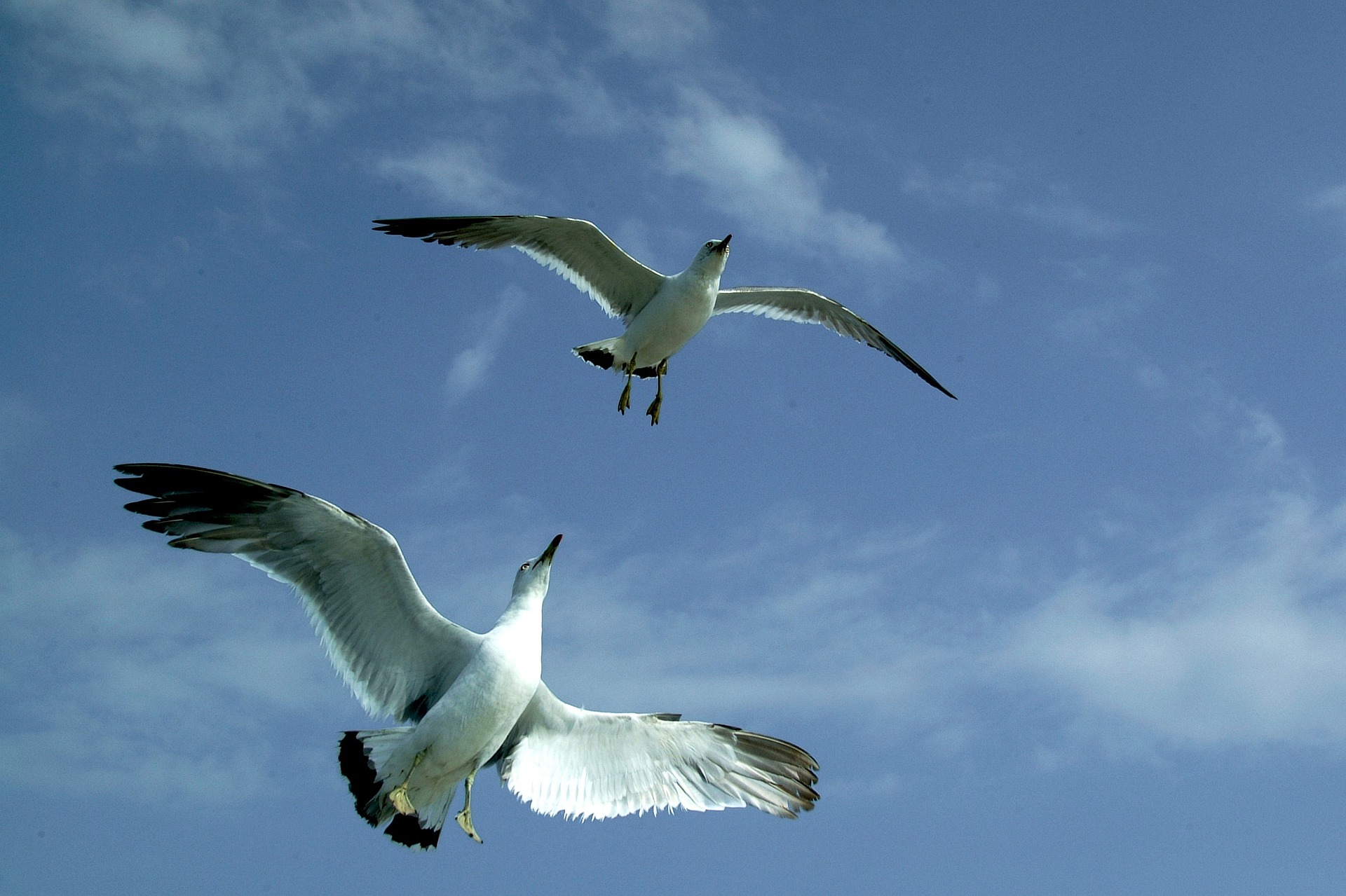 Will Advance Nanotek keep flying higher?