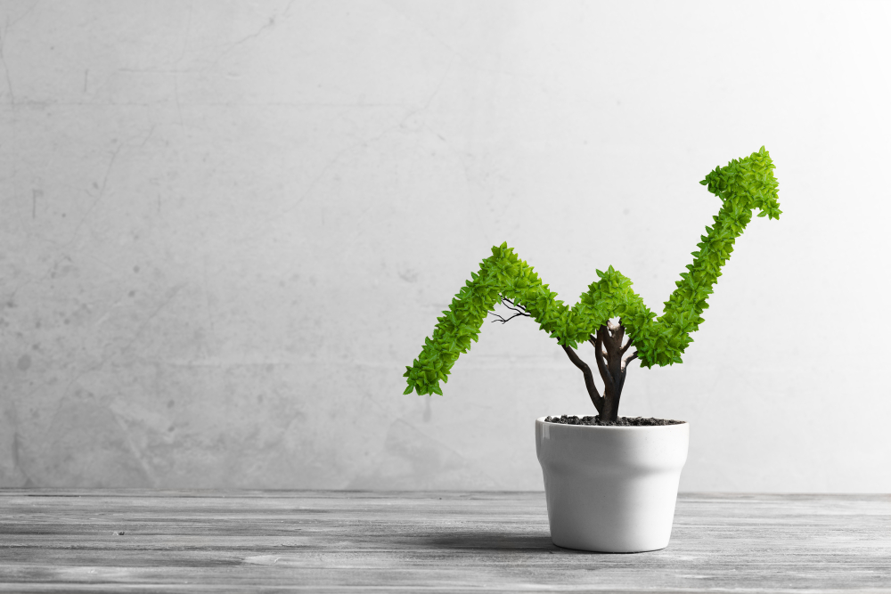 RPM Automotive Group Limited, strategic acquisition growth strategy