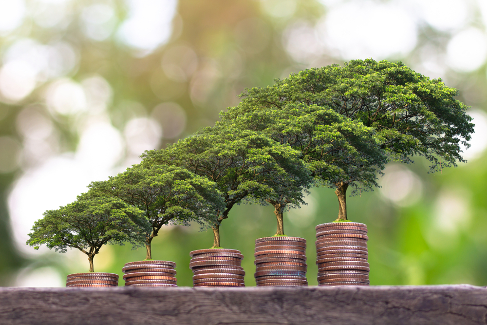 Bellevue Gold Limited, potential increase in project economics