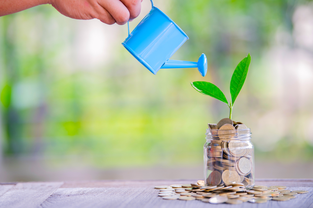 Element 25 Limited, early cashflow and rapid expansion