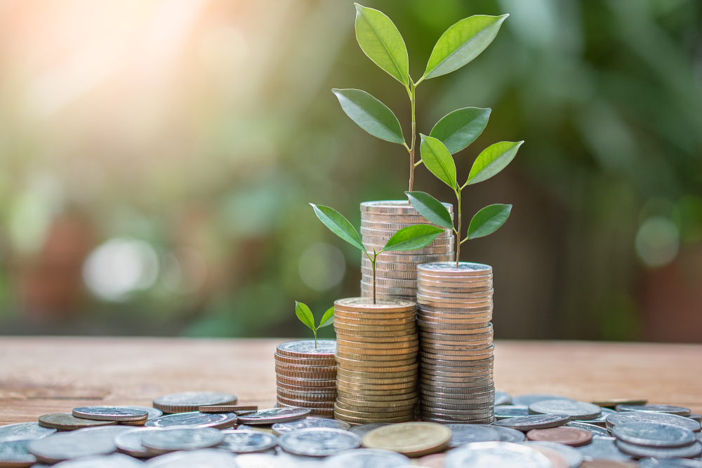 PWR Holdings Limited, extensive organic growth opportunities