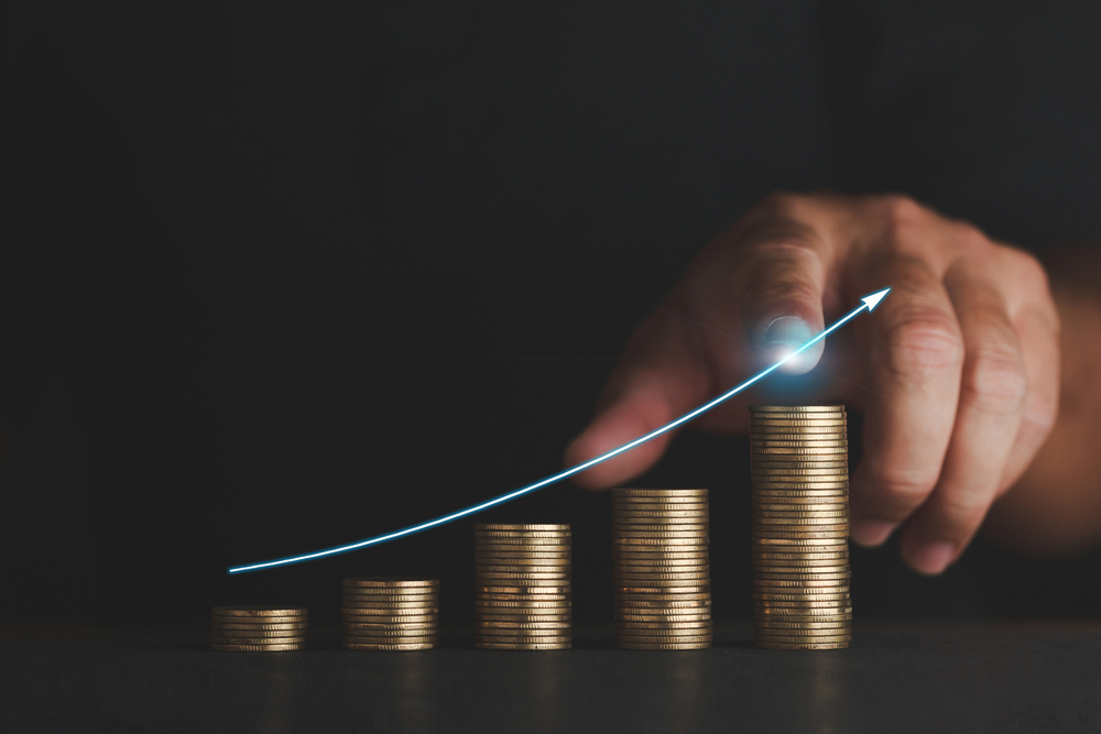 LaserBond Limited, stable earnings