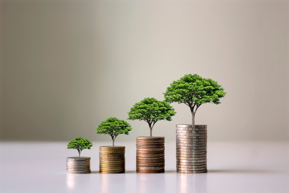 TechnologyOne Limited, continuing strong growth