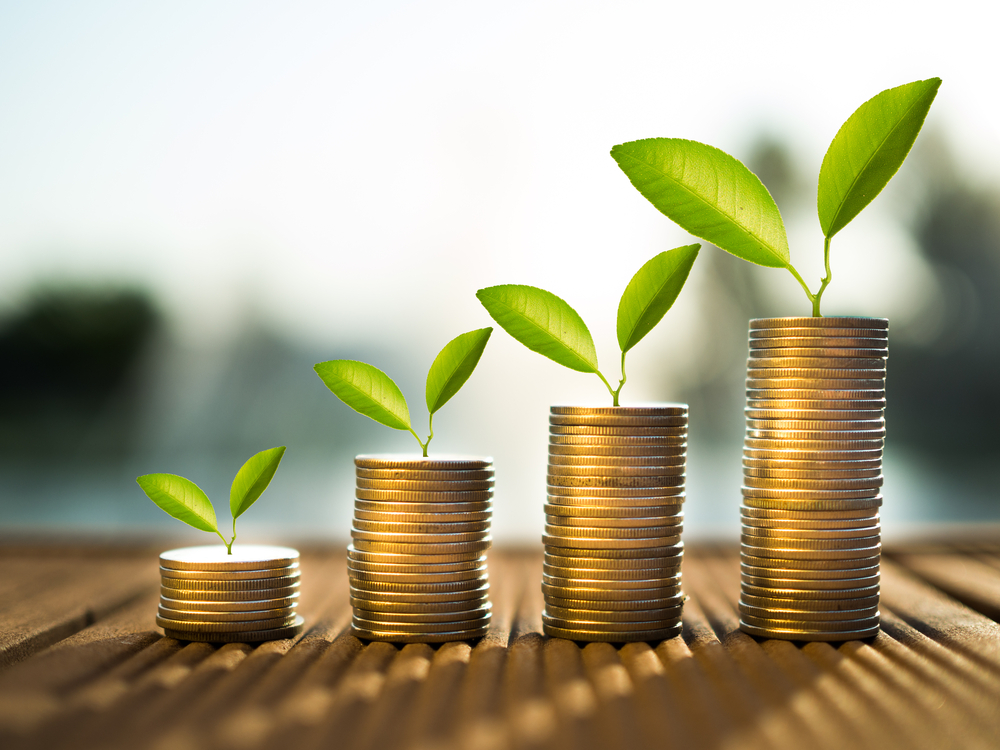 PSC Insurance Group Limited, strong organic growth