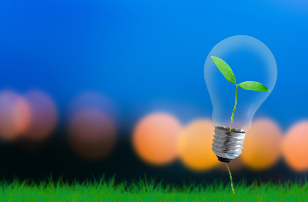Sunrise Energy Metals Limited, assessing development opportunities