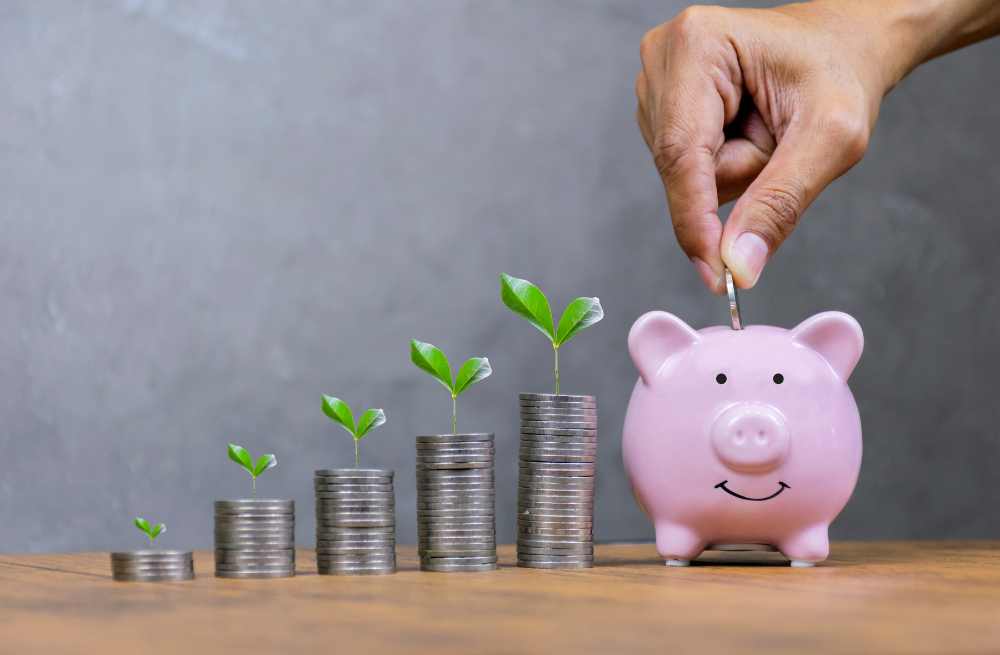 Credit Corp Group Limited, significant productive capacity
