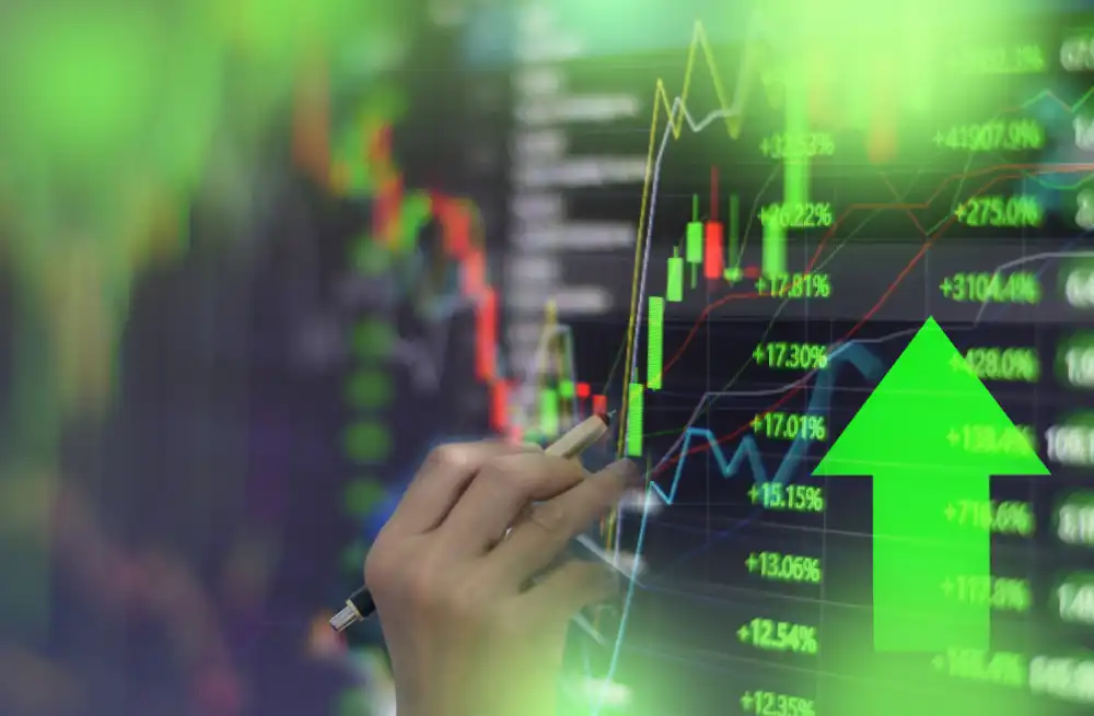 Temple & Webster Group Limited, resilient business model