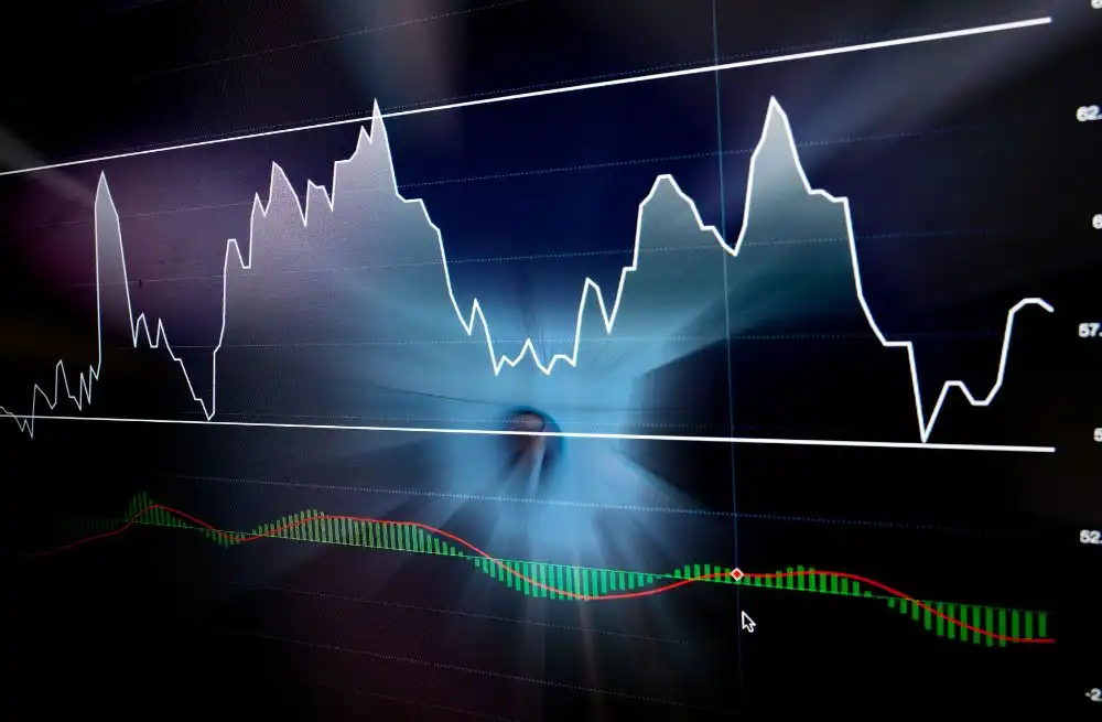 Integral Diagnostics Limited, prioritizing capital management