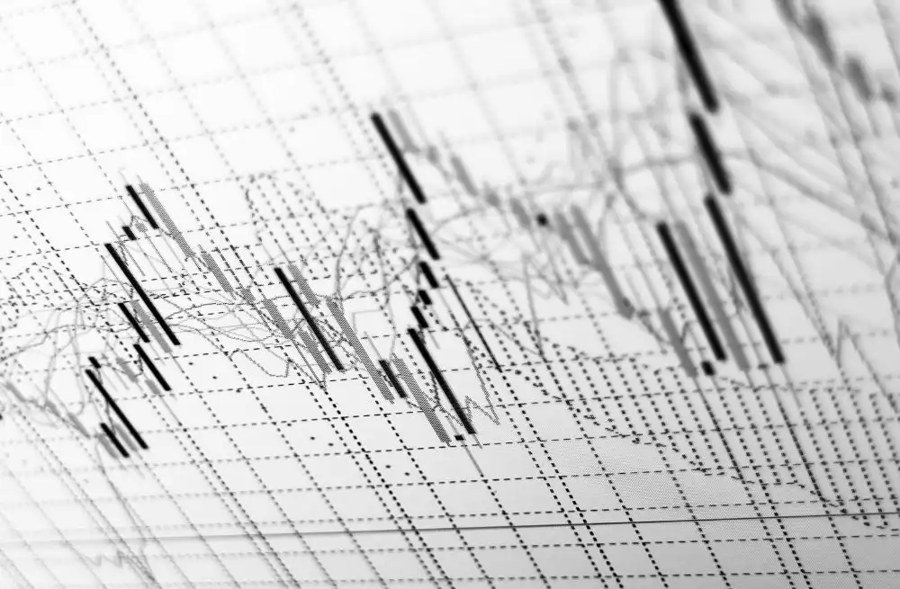 Wellard Limited, changing dynamics of the livestock shipping market