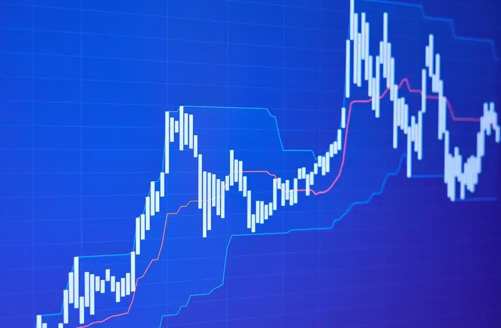 Peet Limited, focus on future growth