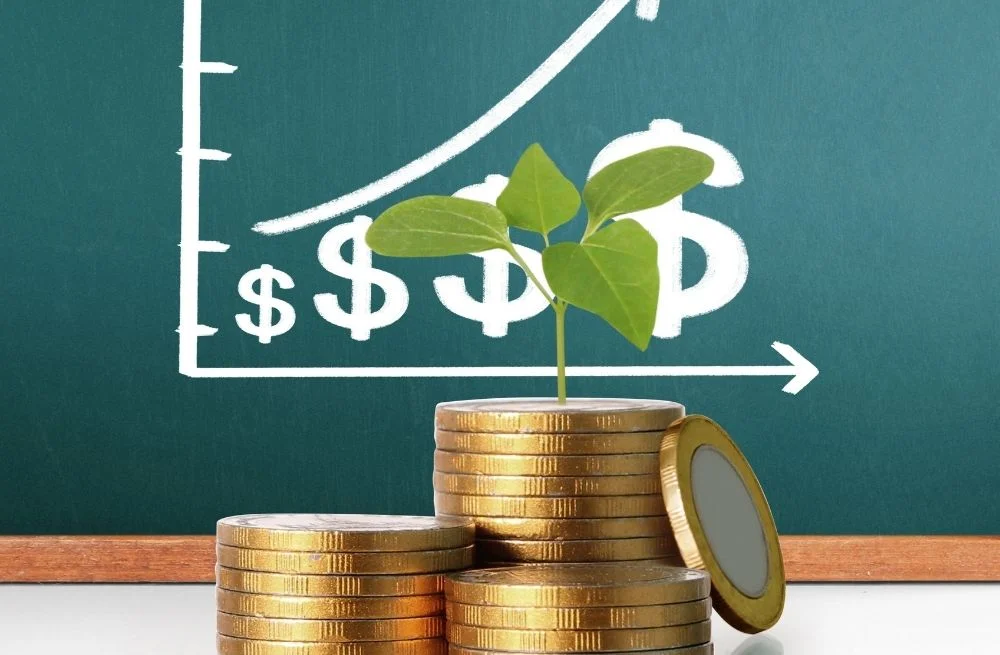 Navigator Global Investments Limited, robust balance sheet