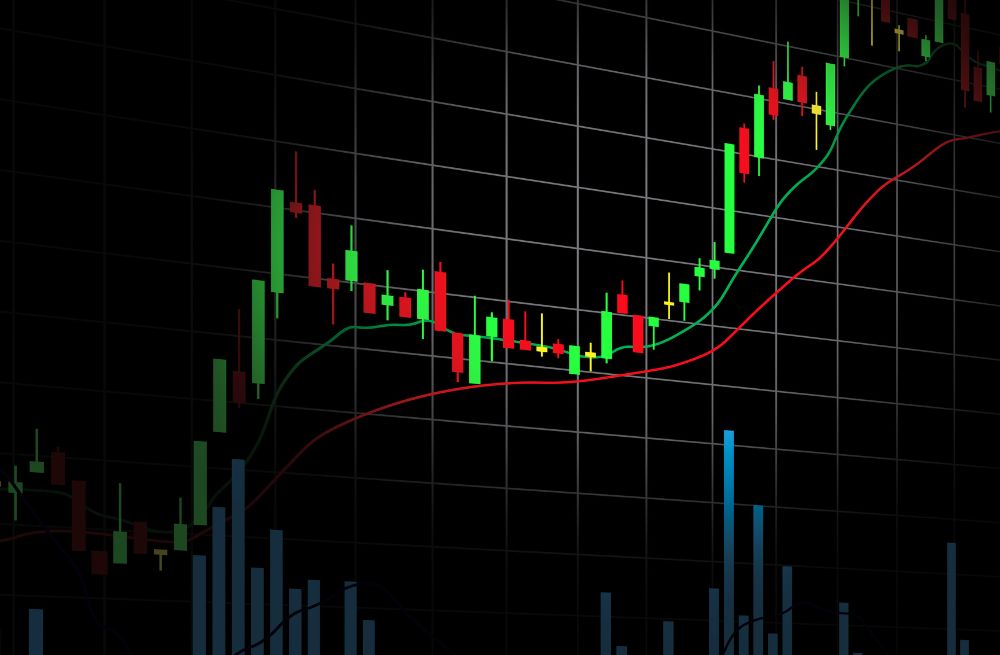 Pioneer Credit Limited, positioning for sustained profitability