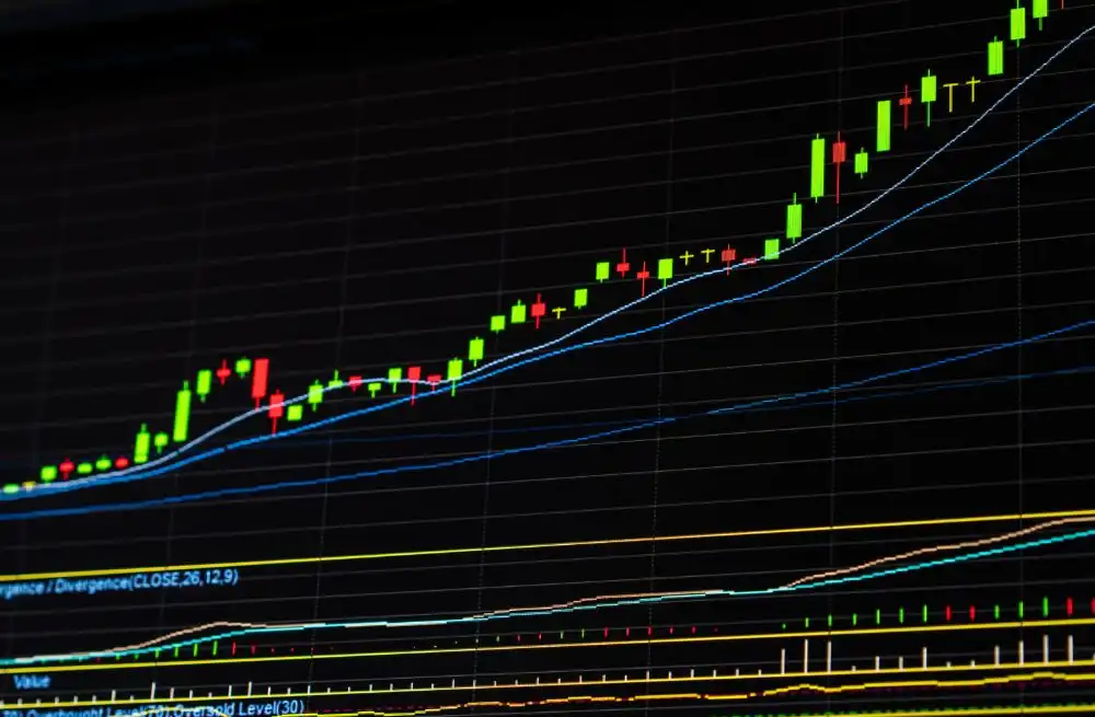Dimerix Limited, poised for success through strong strategic alignment